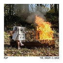 Pup - The Dream Is Over (LP)