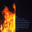 Tiësto - Forbidden Paradise 10 - Djunggi (CD Tweedehands) - Discords.nl