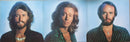 Bee Gees - Greatest (LP Tweedehands)