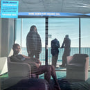 Skunk Anansie - Post Orgasmic Chill (LP) - Discords.nl