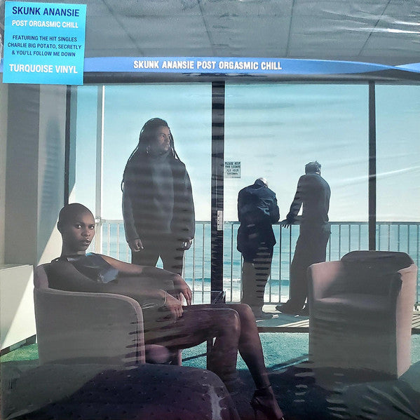 Skunk Anansie - Post Orgasmic Chill (LP) - Discords.nl