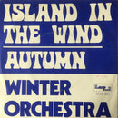 Winter Orchestra - Island In The Wind / Autumn (7-inch Tweedehands) - Discords.nl