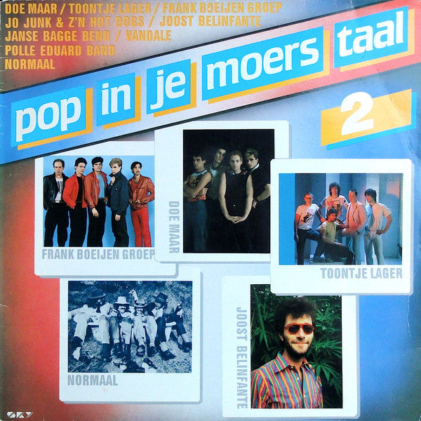 Various - Pop In Je Moers Taal 2 (LP Tweedehands)