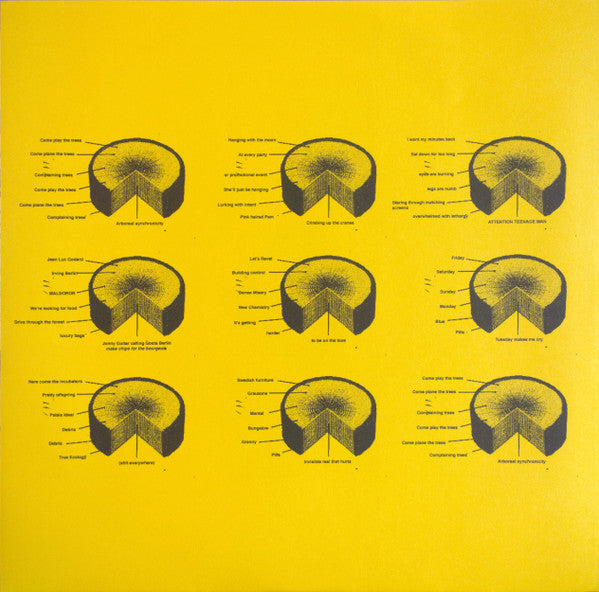 Snapped Ankles - Snapped Ankles - Come Play The Trees  (LP) - Discords.nl