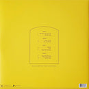 MGMT - Little Dark Age  (LP) - Discords.nl