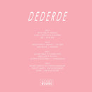 De Likt - De Derde  (LP) - Discords.nl