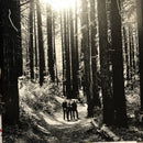 Depeche Mode - Depeche Mode - Sounds Of The Universe  (LP) - Discords.nl