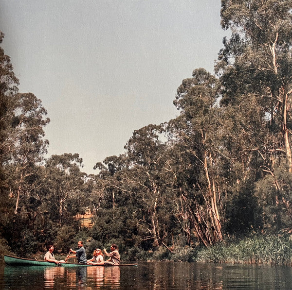 The Teskey Brothers - Run Home Slow  (LP) - Discords.nl