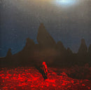 Phoebe Bridgers - Punisher  (LP) - Discords.nl