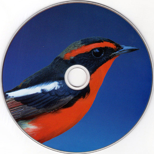 Venice (7) - Into The Morning Blue (CD Tweedehands) - Discords.nl