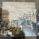 Panic! At The Disco - Panic! At The Disco - Pray For The Wicked  (LP) - Discords.nl