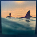 Dua Lipa - Radical Optimism (LP) - Discords.nl