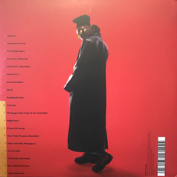 Little Simz - Sometimes I Might Be Introvert  (LP) - Discords.nl