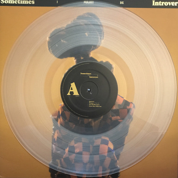 Little Simz - Sometimes I Might Be Introvert  (LP) - Discords.nl