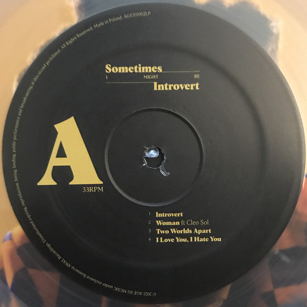 Little Simz - Sometimes I Might Be Introvert  (LP) - Discords.nl