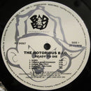 The Notorious BIG - The Notorious BIG - Ready To Die  (LP) - Discords.nl
