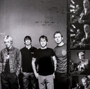 Foo Fighters - Foo Fighters - Greatest Hits  (LP) - Discords.nl