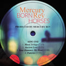 Mercury Rev - Born Horses (LP) - Discords.nl