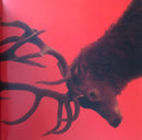 Fontaines D.C. - Skinty Fia  (LP) - Discords.nl