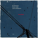 Kit Downes /petter Eldh/james Maddren - Vermillion (LP) - Discords.nl