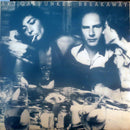Art Garfunkel - Breakaway (LP Tweedehands)