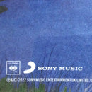 George Ezra - Gold Rush Kid  (LP) - Discords.nl