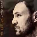 David Gray - The Best Of David Gray  (LP) - Discords.nl