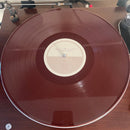 Gregory Alan Isakov - Gregory Alan Isakov - Appaloosa Bones  (LP) - Discords.nl