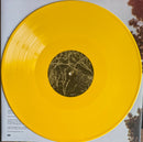 Band Of Horses - Everything All The Time (LP)