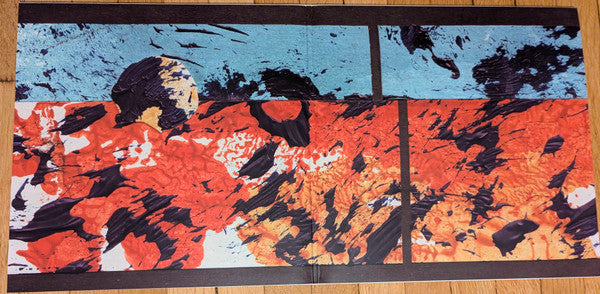Grizzly Bear - Painted Ruins (LP)