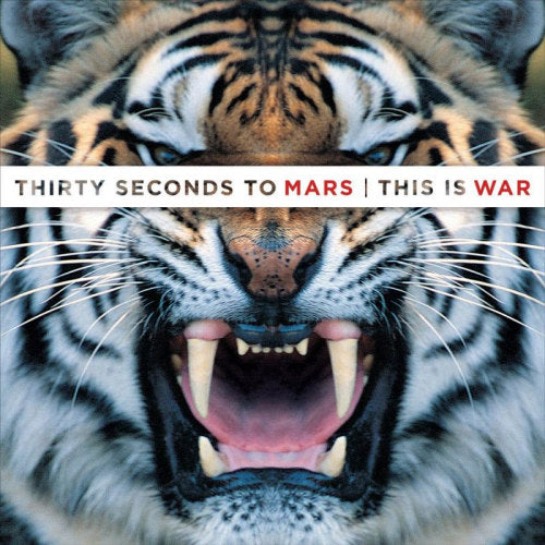 Thirty Seconds To Mars - This is war (LP) - Discords.nl