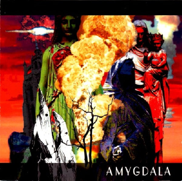 Amygdala - Amygdala (CD) - Discords.nl