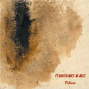 Finnegans Wake - Picture (CD) - Discords.nl