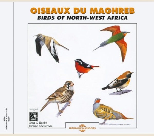 V/A (Various Artists) - Oiseaux du maghreb (CD) - Discords.nl