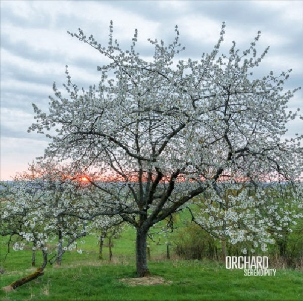 Orchard - Serendipity (CD) - Discords.nl