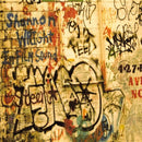 Shannon Wright - In film sound (LP) - Discords.nl