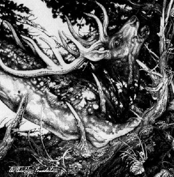 Third Eye Foundation - Dark (CD) - Discords.nl