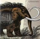 Flotation Toy Warning - Machine that made us (LP) - Discords.nl