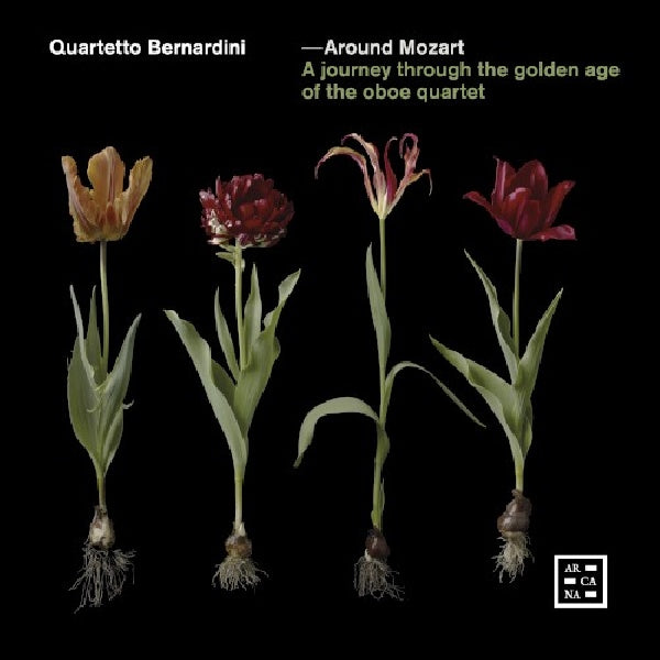 Quartetto Bernardini - Around mozart (CD) - Discords.nl