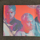 Everything Everything - Mountainhead (LP) - Discords.nl