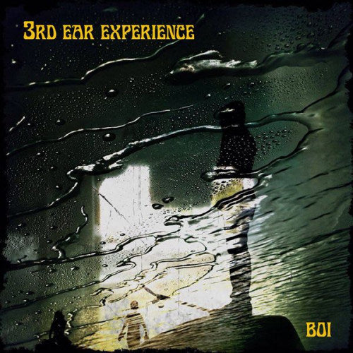 Third Ear Experience - Boi (CD)