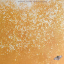 Michael Franks - Sleeping Gypsy (LP Tweedehands)