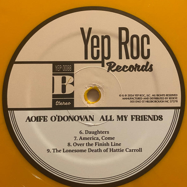Aoife O'Donovan - All My Friends (LP) - Discords.nl