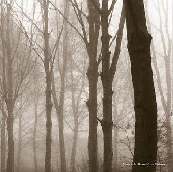 Blueneck - Scars of the midwest (LP) - Discords.nl