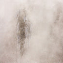 Second Moon Of Winter - One for sorrow, two for joy (LP) - Discords.nl