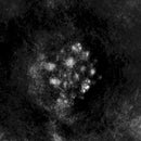 Saffronkeira - Synedoche (CD) - Discords.nl