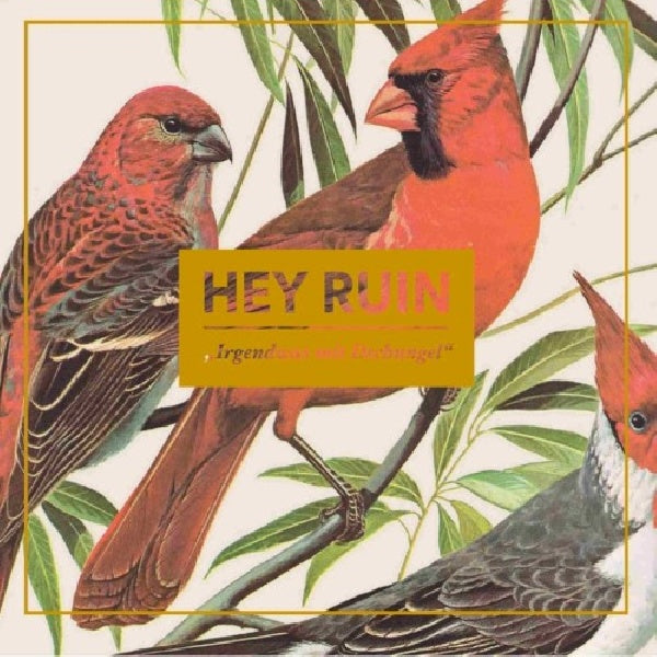 Hey Ruin - Irgendwas mit d schungel (CD) - Discords.nl