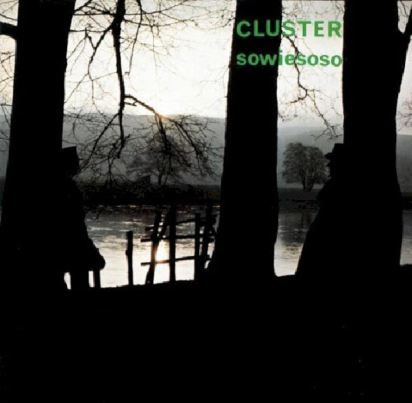 Cluster - Sowiesoso (LP) - Discords.nl