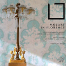 Ensemble Alraune - Mozart in florence (CD) - Discords.nl