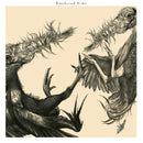 Feathered Arms - Feathered arms (CD) - Discords.nl